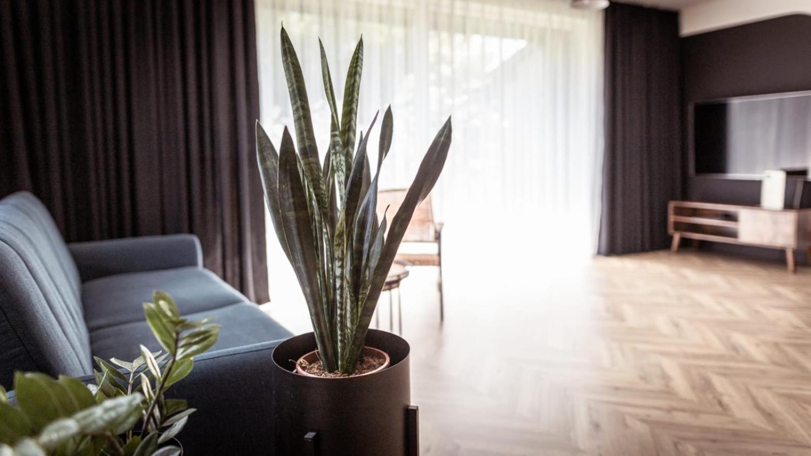 Apartments Abcd Biała Podlaska Eksteriør billede